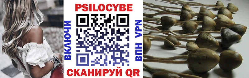 Псилоцибиновые грибы Cubensis  купить   Певек 